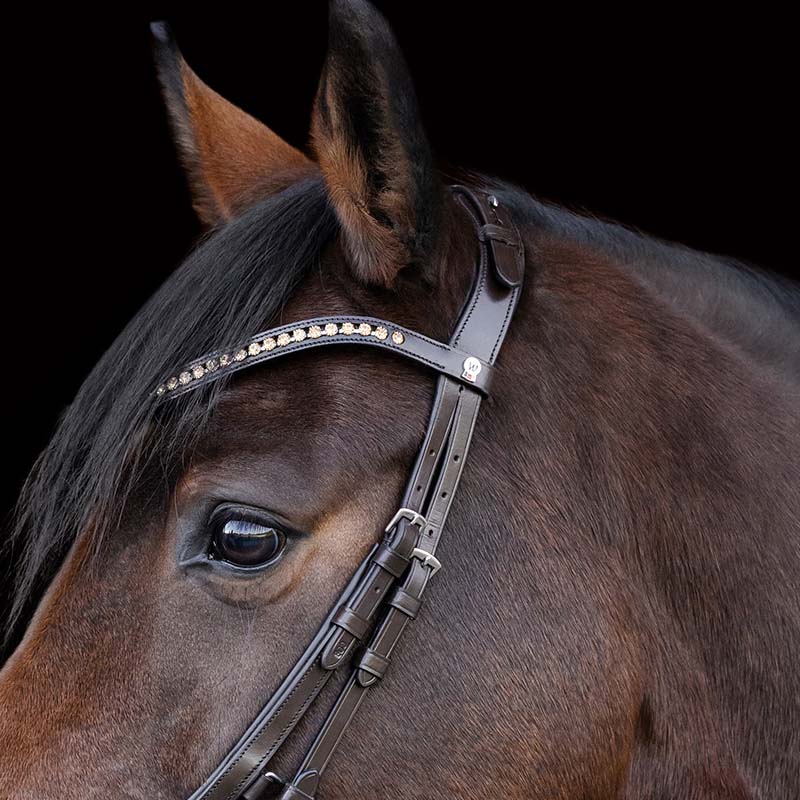 Briglia inglese anatomica Waldhausen X-Line Relaxation - 2347