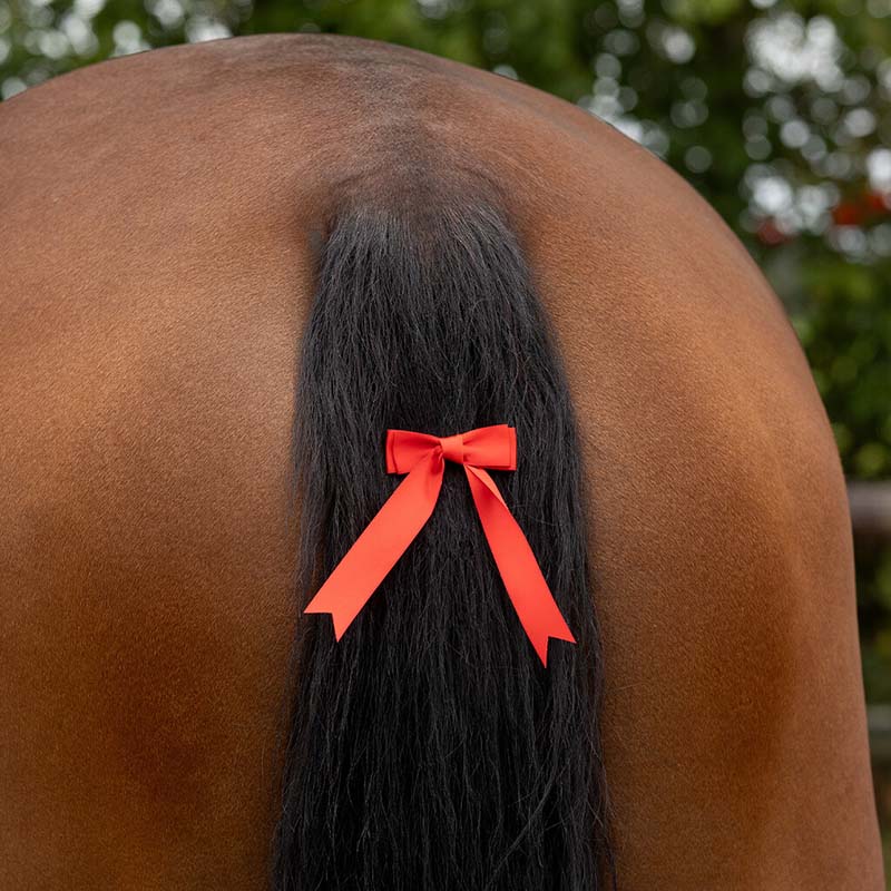 Fiocco Rosso di avvertimento per coda cavallo - 0123