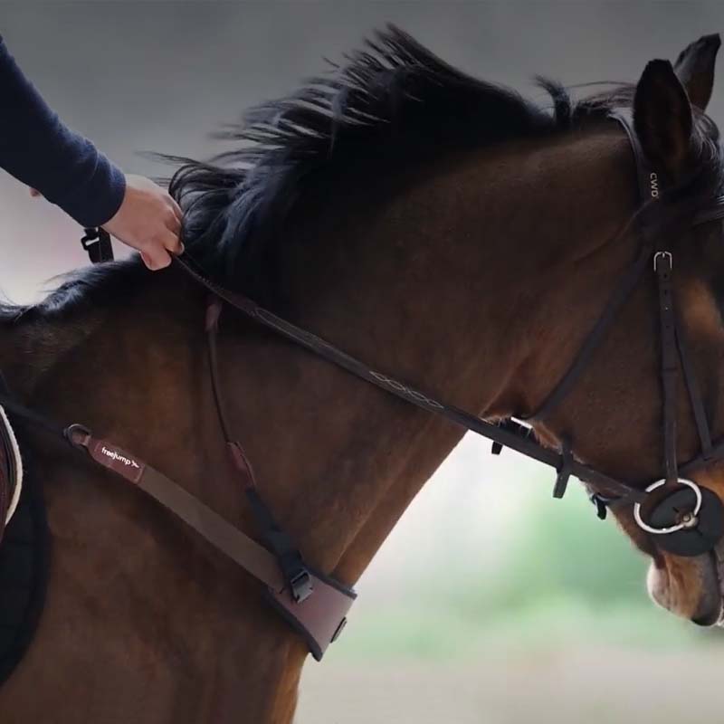 Freejump COLLAR - collare ausiliario da addestramento  - 2677