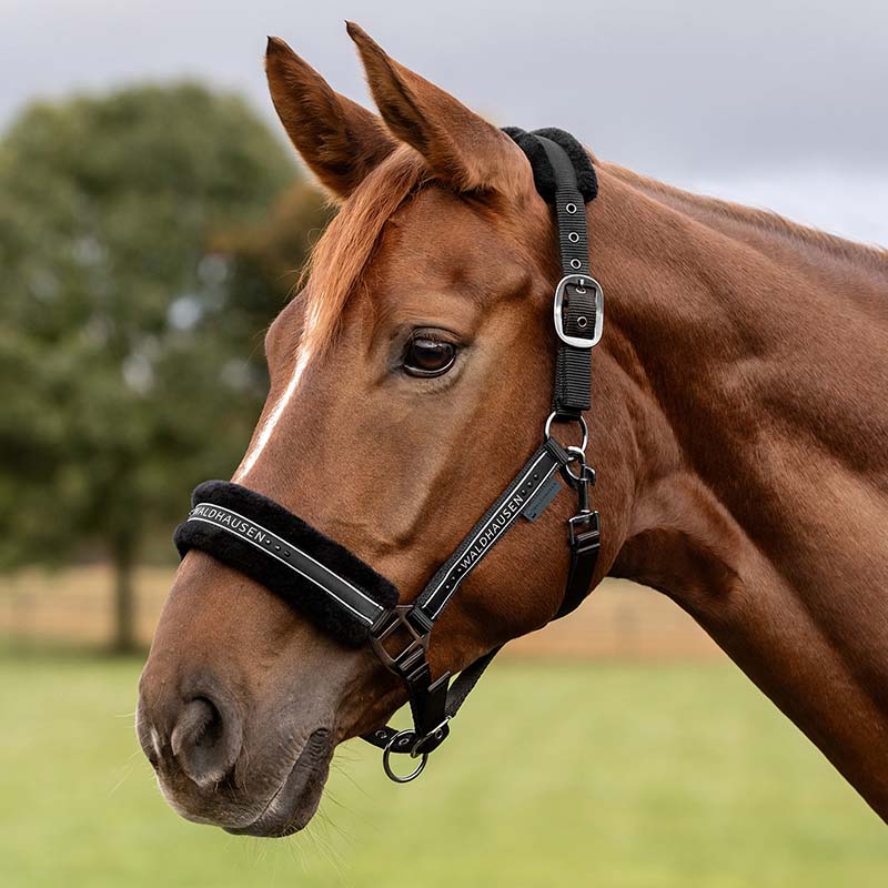 Capezza ELEGANT morbida con glitter fibbieria satinata - 0348