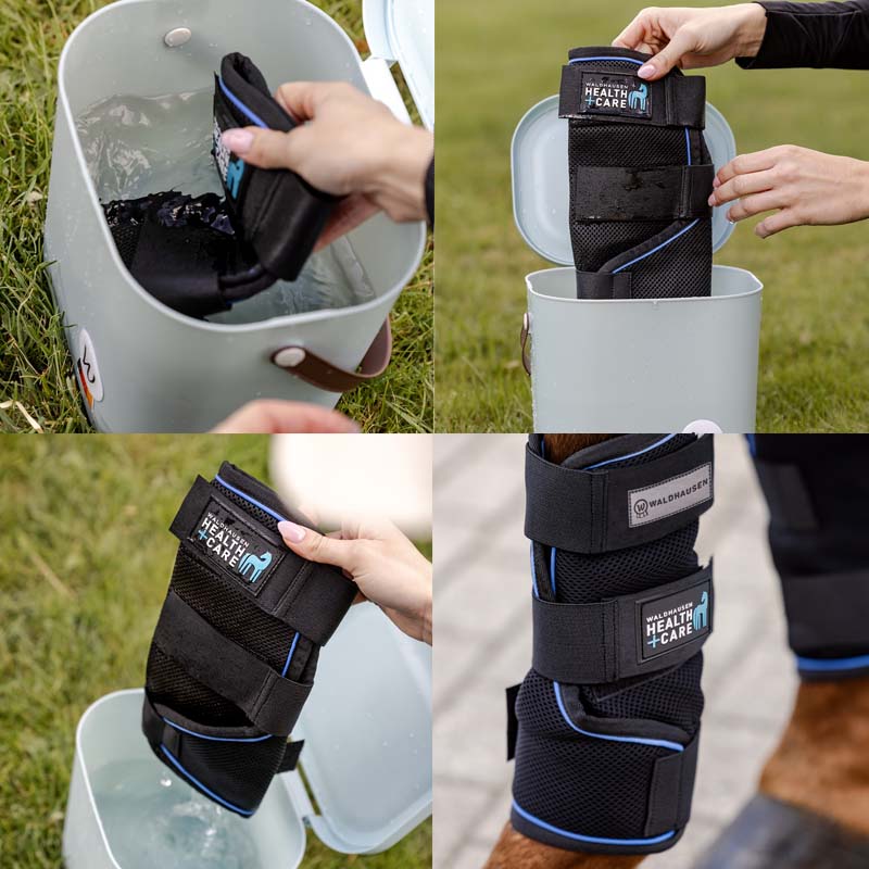 Stinchiere rinfrescanti Ice Layer Waldhausen Health + Care - 1870