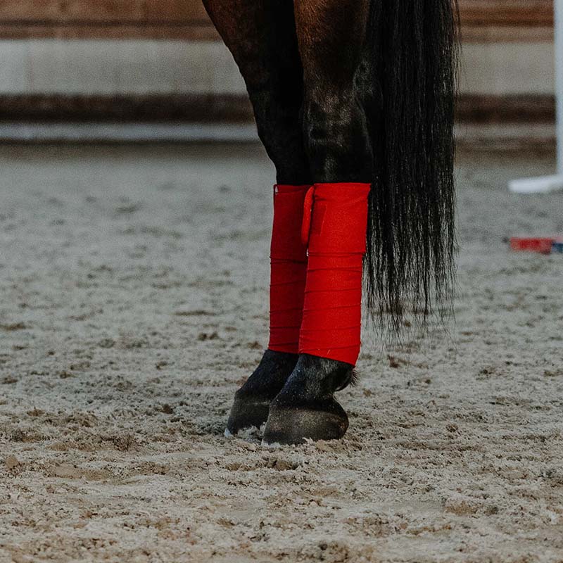 Fasce da Polo natalizie per cavallo Equitheme Xmas - 9327