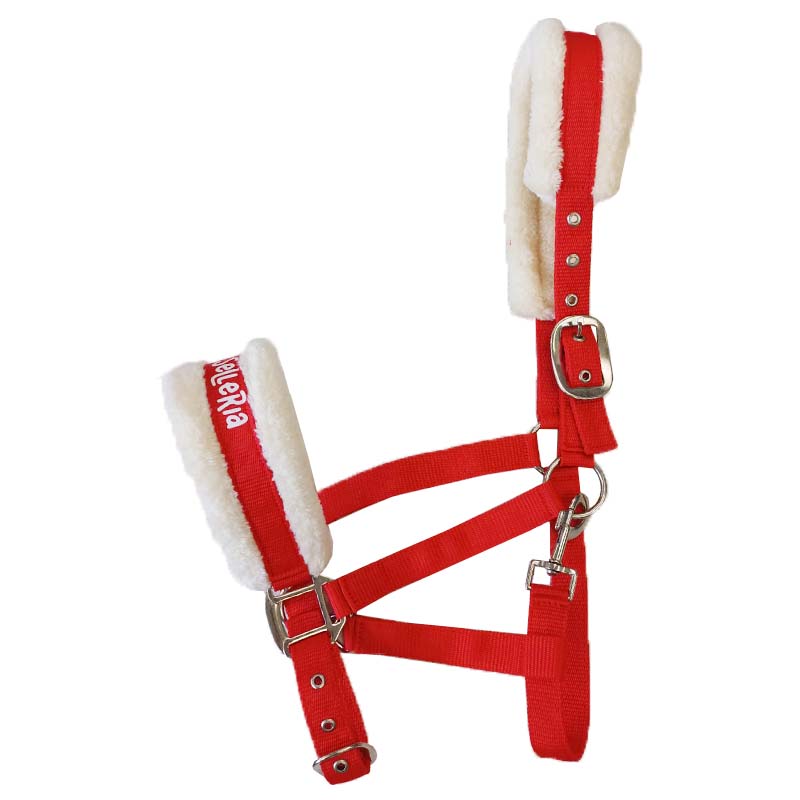 Servizio Stampa Personalizzata (per Cavezza) - 9003