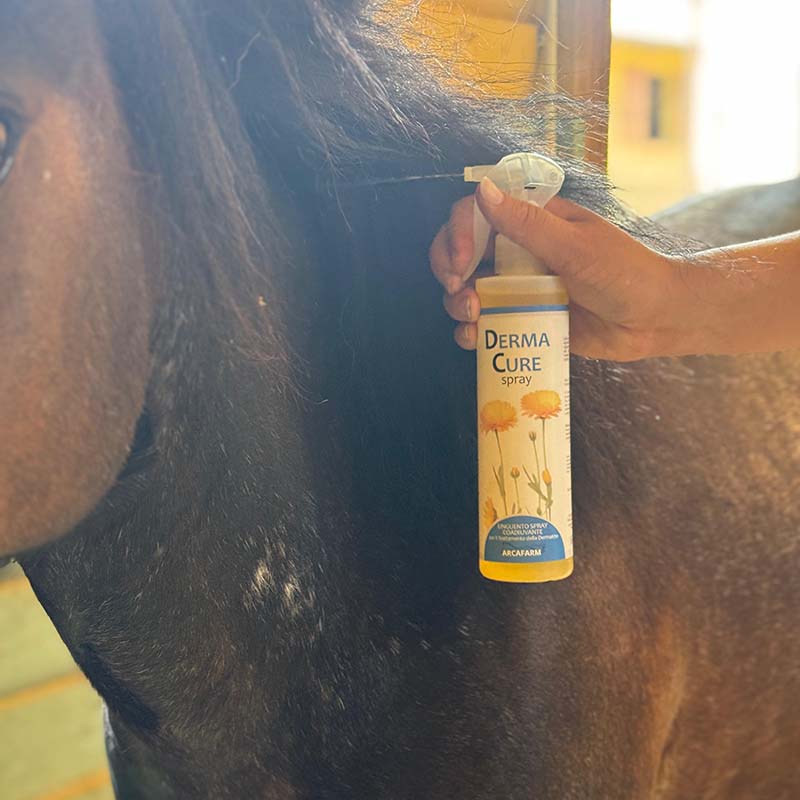 DERMACURE Spray 250 ml Lozione per Dermatite ed Eczemi Arcafarm - 1000