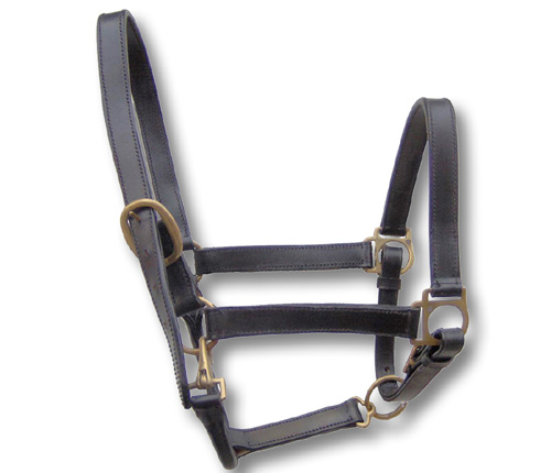 Cavezza Regolabile Kerbl Per Alpaca - Blu 20 Mm - Morbida E Sicura - Foto 2