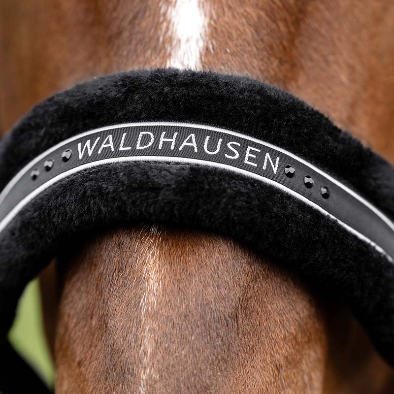 Capezza ELEGANT morbida con glitter fibbieria satinata - 0348