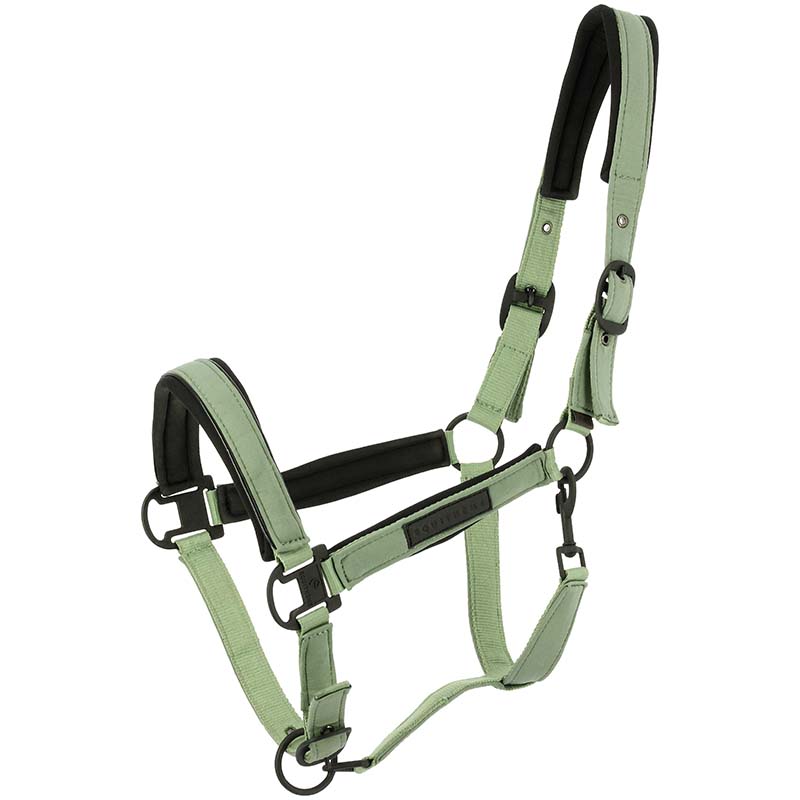 Capezza Sintetica Colorata con imbottitura neoprene Equithème PEARL - 0284
