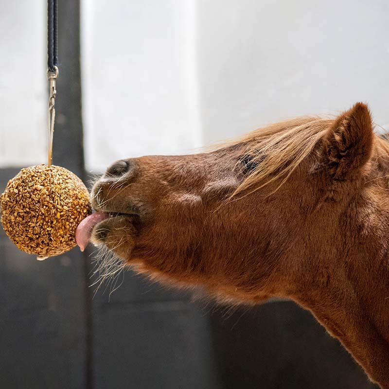  Palla Cereali Muesli Likit GRANOLO Stall-Ball Low Sugar - 1,6 kg - 1129