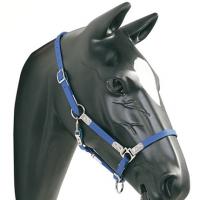 Frontalino Shaped Sapphire Con Bottone - Design Italiano, Materiali Di Pregio Per L'Equitazione | Elegante E Funzionale - Foto 2