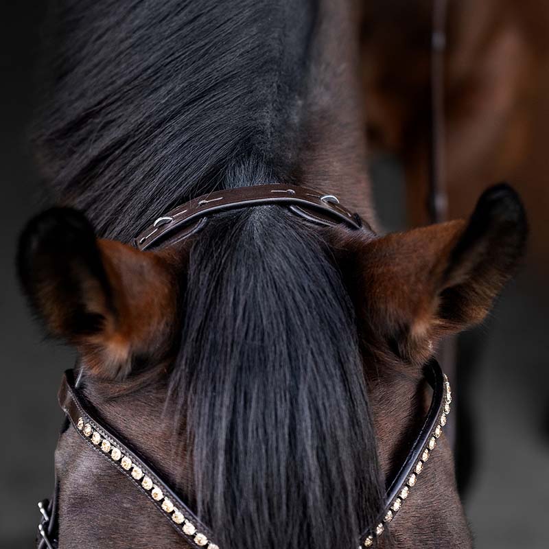 Briglia inglese anatomica Waldhausen X-Line Relaxation - 2347