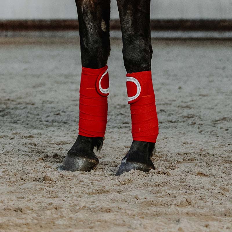 Fasce da Polo natalizie per cavallo Equitheme Xmas - 9327