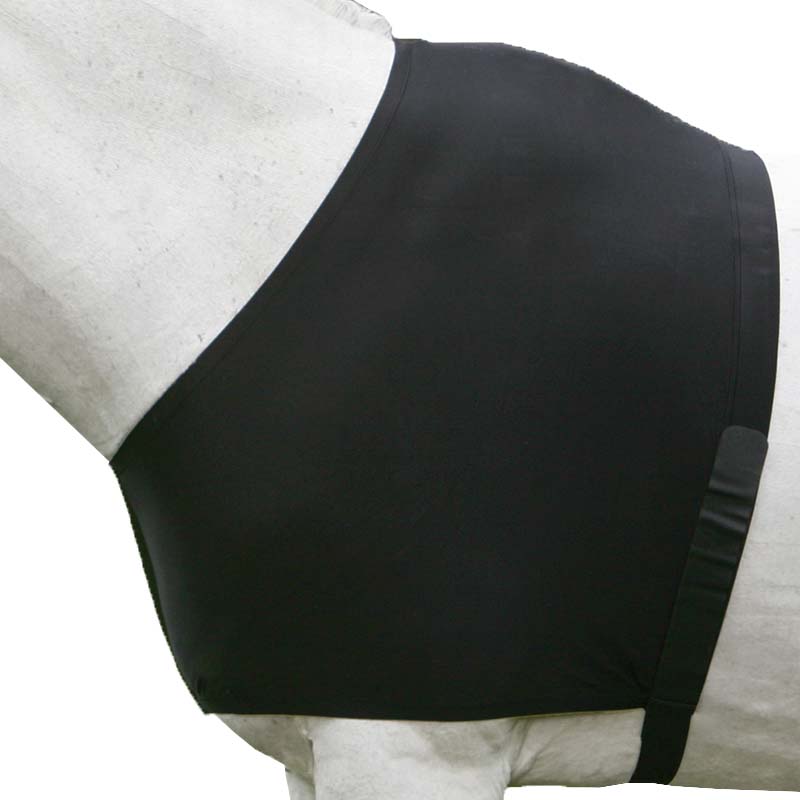 Protezione petto per cavallo Comfort Vest