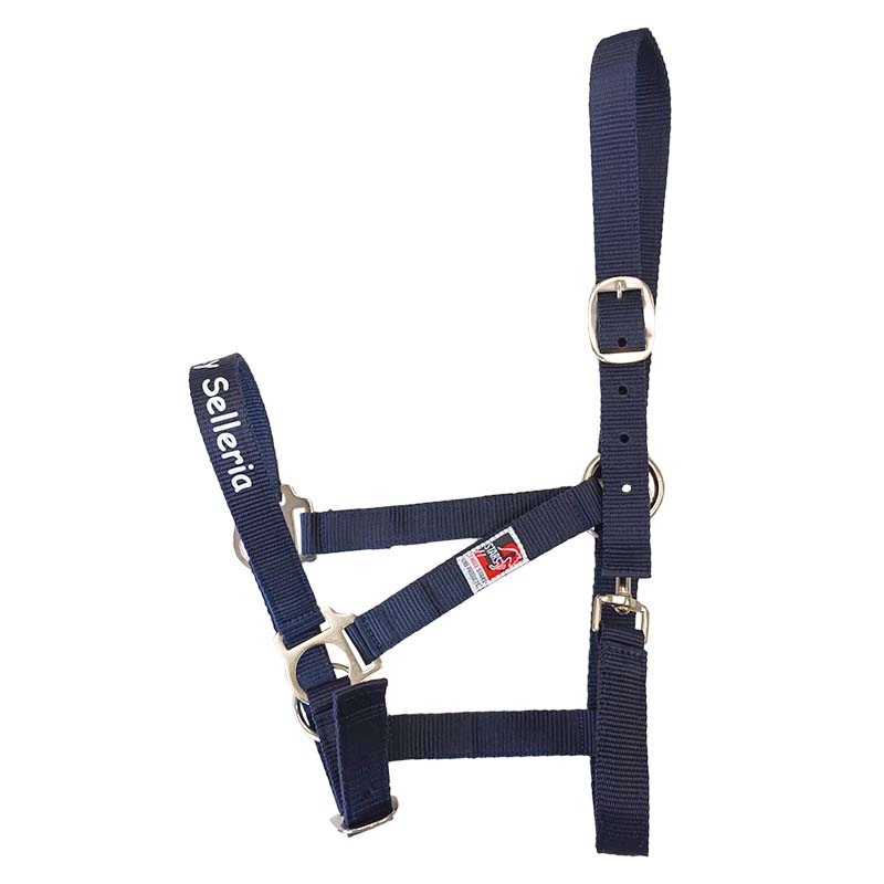 Servizio Stampa Personalizzata (per Cavezza) - 9003