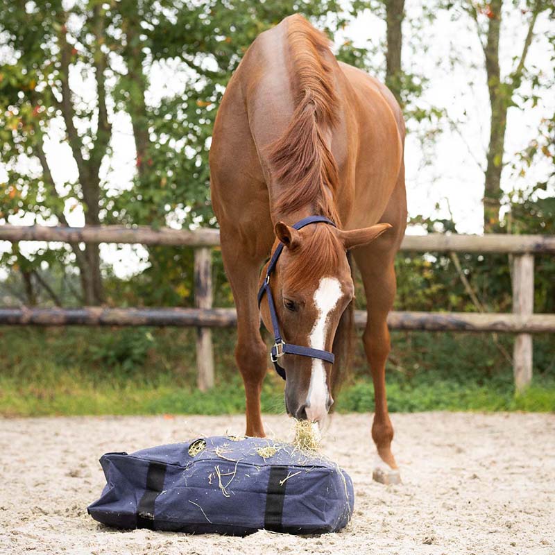 Cuscino per fieno per cavallo hay pillow - 6376
