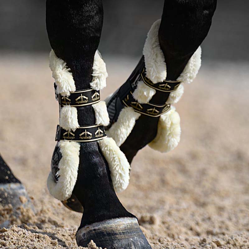 Paratendini Veredus Carbon Gel Absolute “Save the Sheep” FRONT - 1625