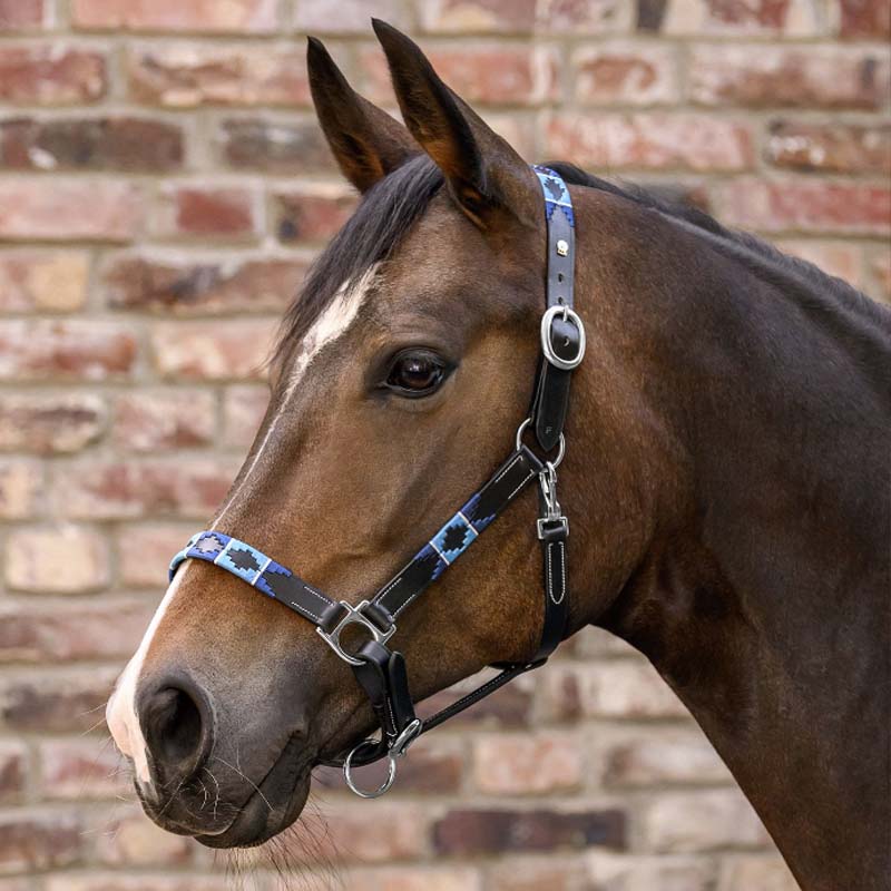 Capezza stile chukka in cuoio - 0351