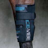 GINOCCHIERA ANTERIORE HORSEWARE ICE-VIBE KNEE WRAP