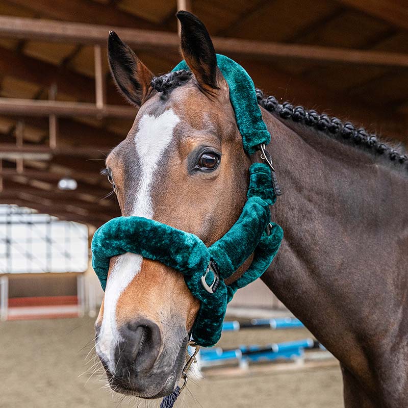 Cavezza Morbida per Cavallo rivestita in agnellino sintetico - 0314