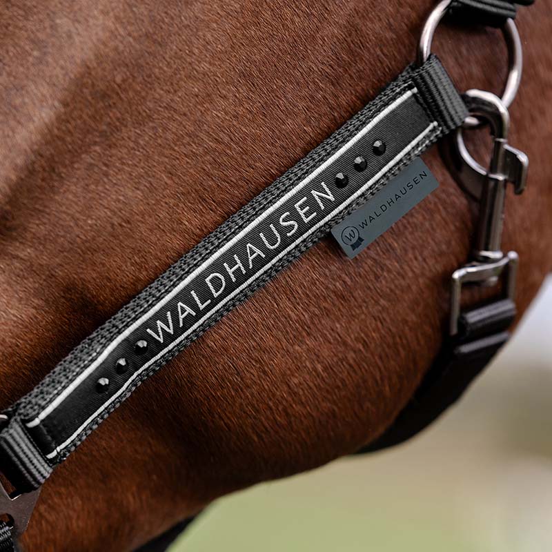 Capezza ELEGANT morbida con glitter fibbieria satinata - 0348