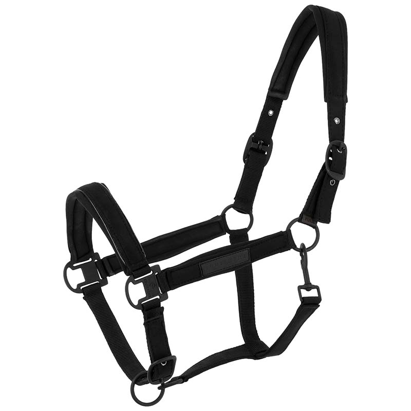 Capezza Sintetica Colorata con imbottitura neoprene Equithème PEARL