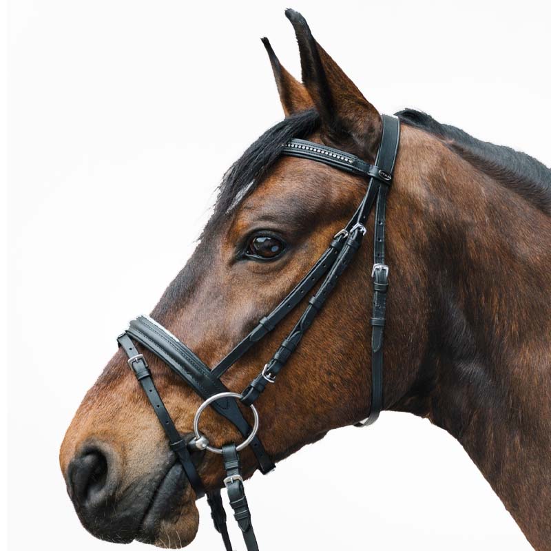 Briglia inglese Star Diamond con strass - vari colori - 2330