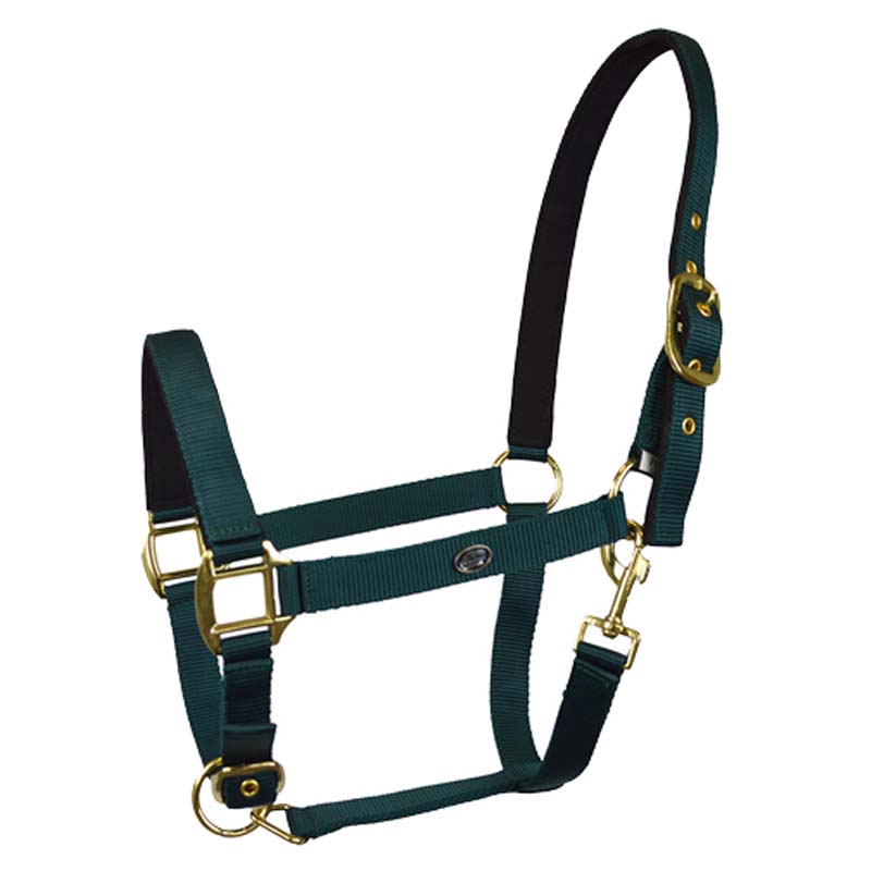 Cavezza in nylon imbottita con doppia regolazione