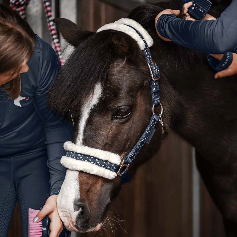 Capezza da Mini Shetland/Pony/Cavallo - con lunghina abbinata LUCKY - 0353