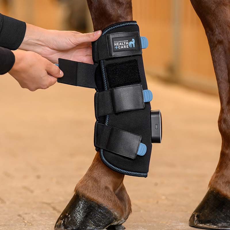 Stinchiera Terapeutica multifunzione Caldo/Freddo/Massaggio W-Health+Care TecSupreme - 1911