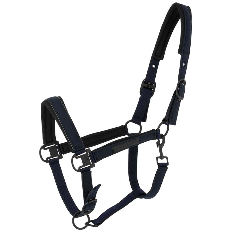Capezza Sintetica Colorata con imbottitura neoprene Equithème PEARL - 0284