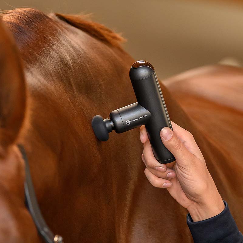 Pistola Massaggiante Pocket per Cavalli con accessori W-Health+Care - 1913