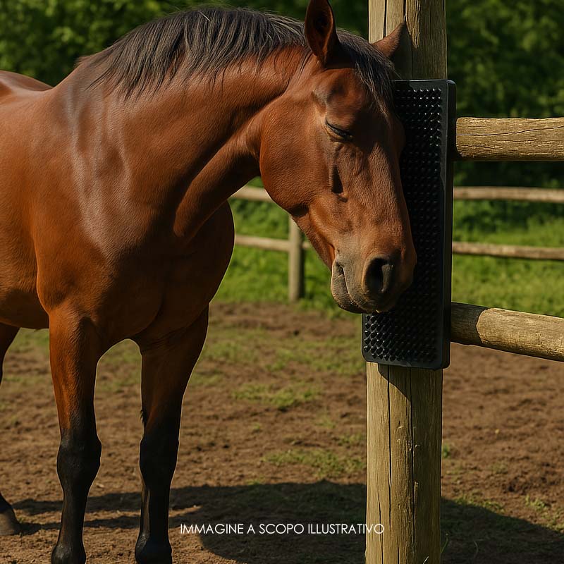 Tappetino massaggio scrub per cavallo 30x40cm - 6377