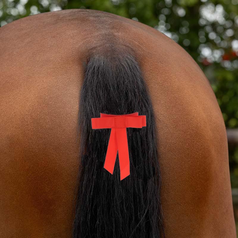 Fiocco Rosso di avvertimento per coda cavallo - 0123