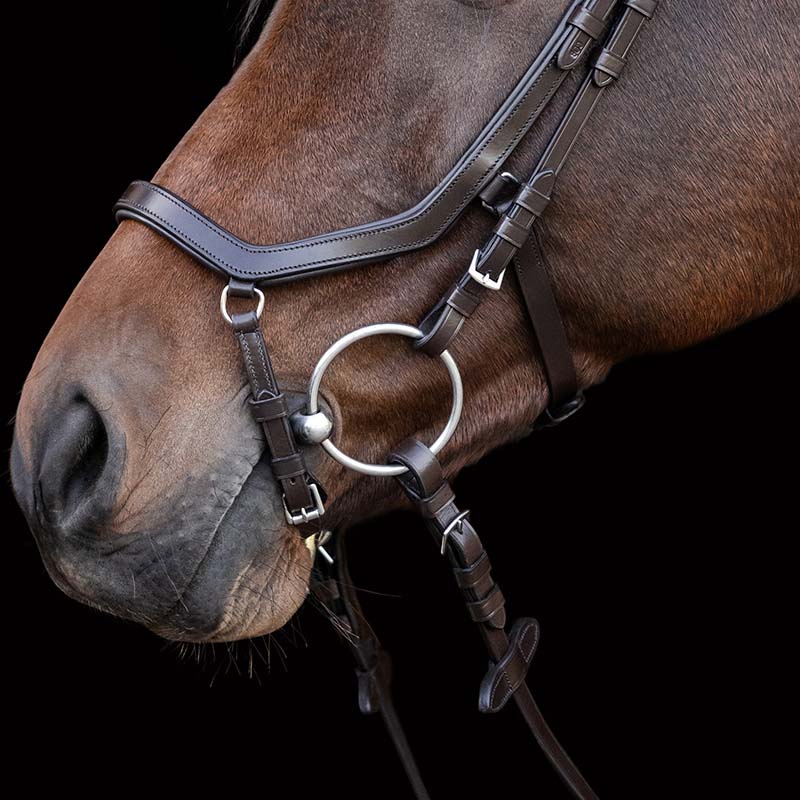 Briglia inglese anatomica Waldhausen X-Line Relaxation - 2347