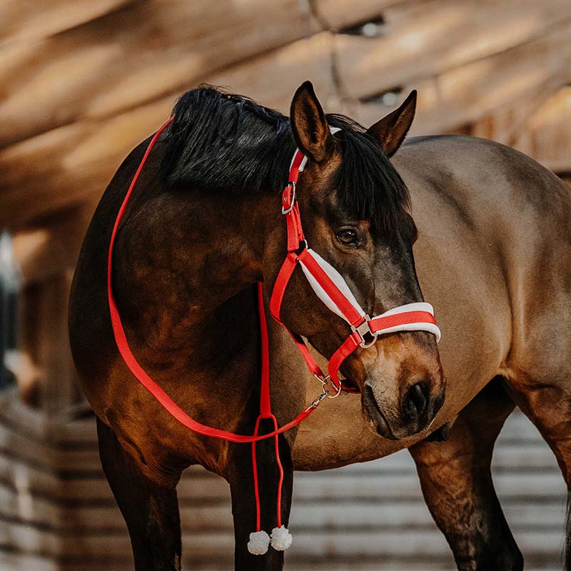 Set natalizio Capezza e Lunghina Equitheme Xmas  - 9329