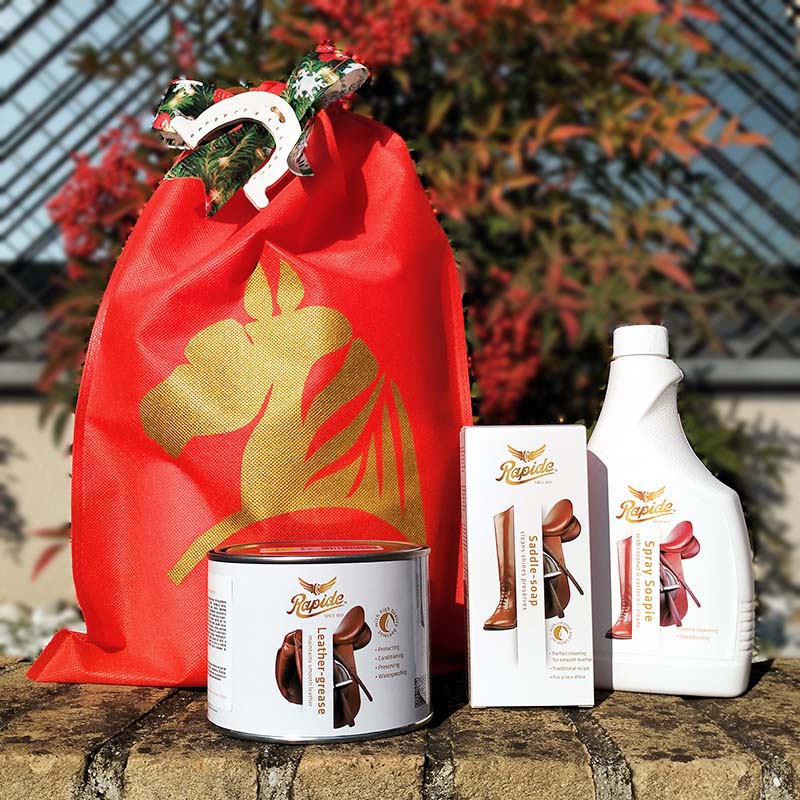 Pacchetto natalizio Dasher - 8306