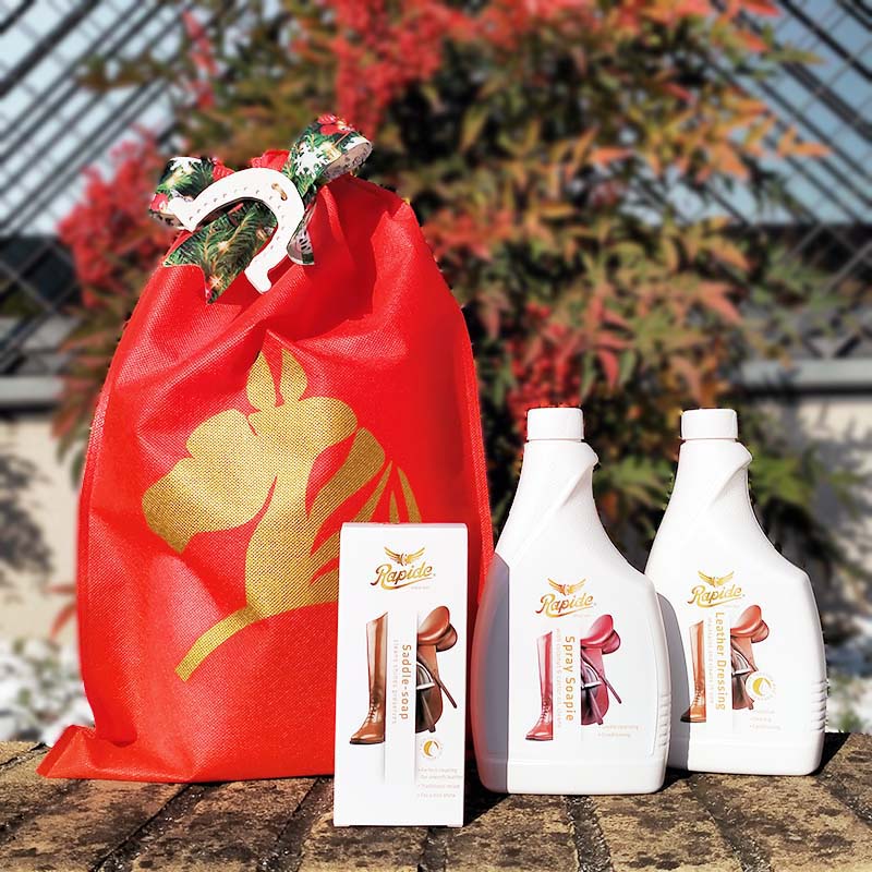 Pacchetto natalizio Comet - 8313