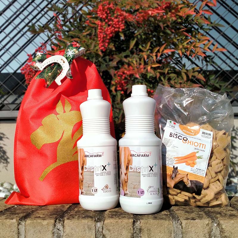 Pacchetto natalizio Rudolph - 8316