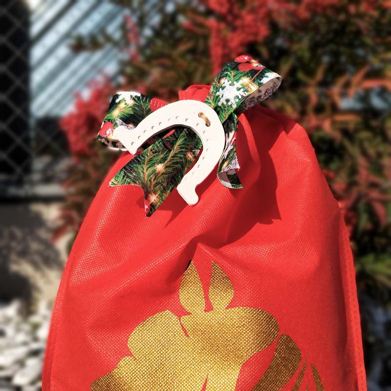 Pacchetto natalizio Rudolph - 8316