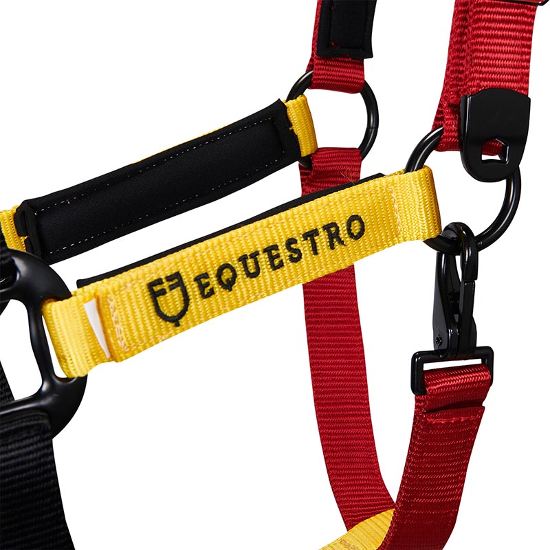 Cavezza in nylon Equestro completa di lunghina - 0353