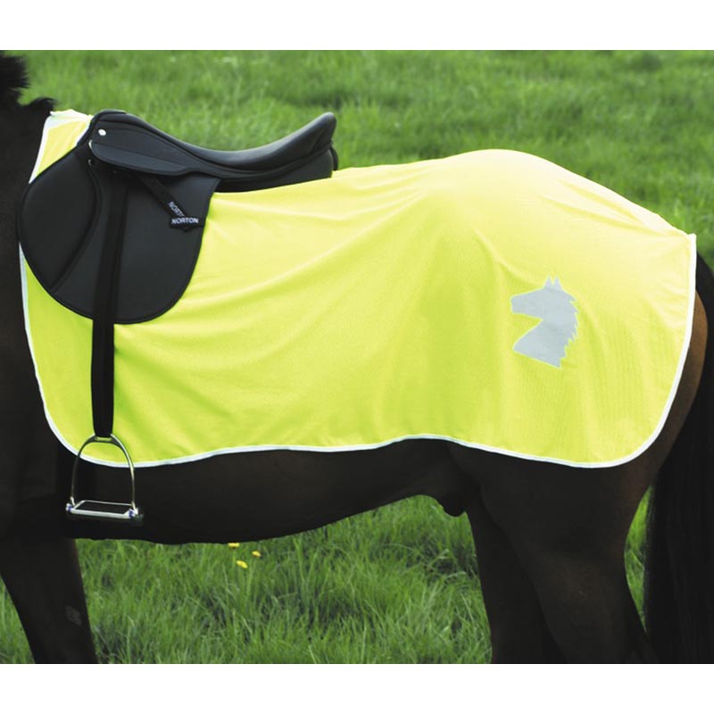 Horses Megan Set Cavallo Megan - Coperta, Cavezza, Longhina E Fasce In Pile Fasce Lavoro Cavallo