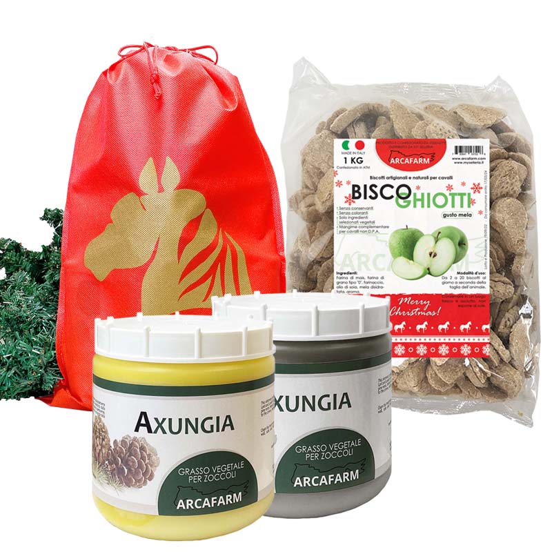 Pacchetto natalizio blitzen