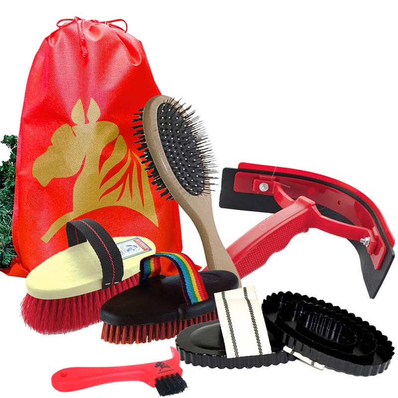 Pacchetto natalizio prancer