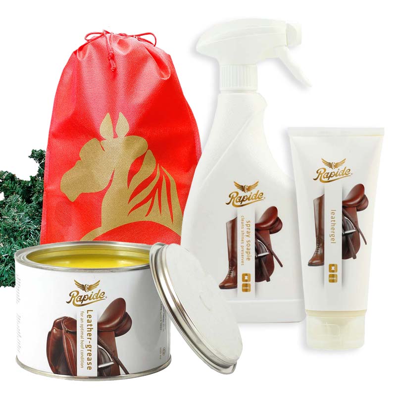 Pacchetto natalizio dasher