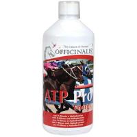 INTEGRATORE OFFICINALIS ATP PRO ENERGY