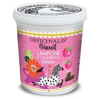 BISCUIT OFFICINALIS 650 gr BISCOTTI NATURALI PER CAVALLI VARI GUSTI