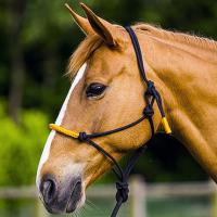 CAVEZZA IN CORDA CON NODI E LUNGHINA COLOR HORSEMANSHIP