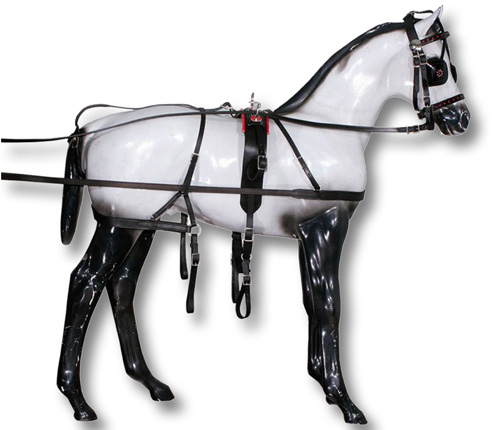 Finimento Singolo Completo Per Pony Shetland Myselleria