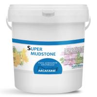 PASTA ASTRINGENTE IDROTERMALE ARCAFARM SUPER MUDSTONE da KG 4