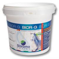 MINERALFAST BIOEQUIPE MANGIME COMPLEMENTARE PER CAVALLI RIMINERALIZZANTE PER LA CRESCITA