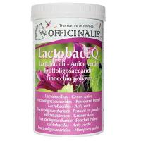 LACTOBAC EQ OFFICINALIS CONTRO AEROFAGIA AIUTA LA DIGESTIONE